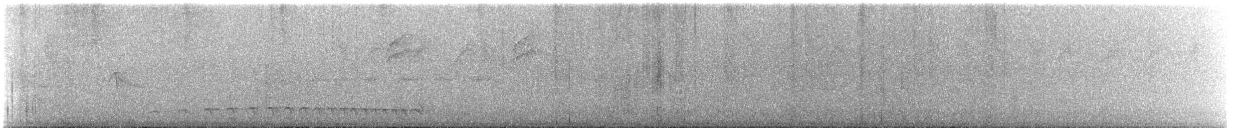 Batara mantelé - ML645678140