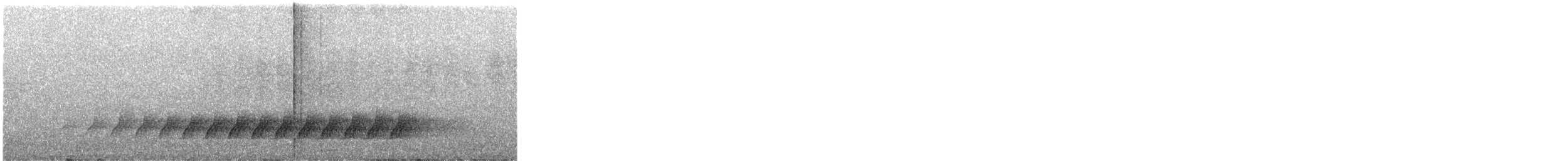 White-throated Treecreeper - ML645678348