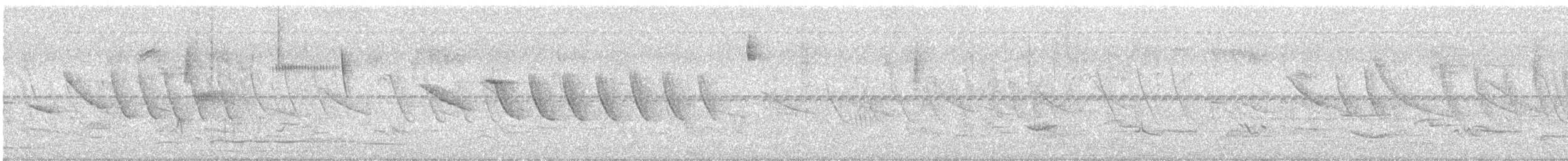 Grassland Sparrow - ML645678360