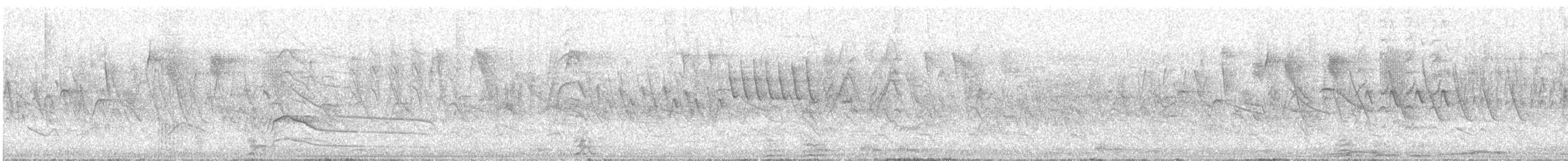 Roadside Hawk - ML645678515