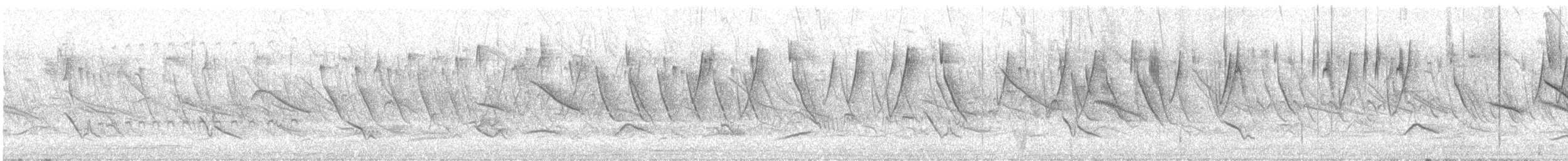 Black-and-rufous Warbling Finch - ML645678538