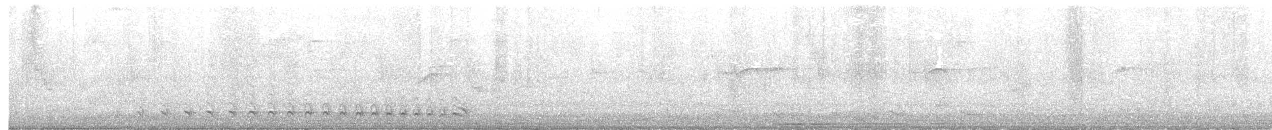 Barred Antshrike - ML645678654