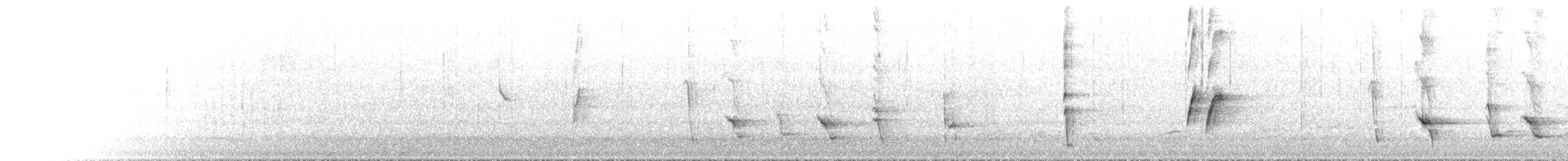 White-fronted Honeyeater - ML645678714