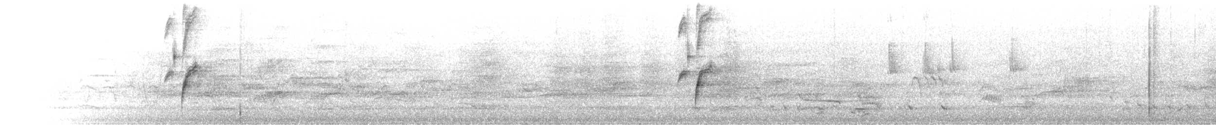 White-fronted Honeyeater - ML645678793