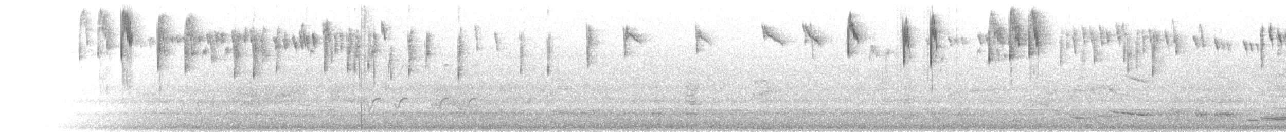 Малюр австралійський (підвид assimilis/bernieri) - ML645678872