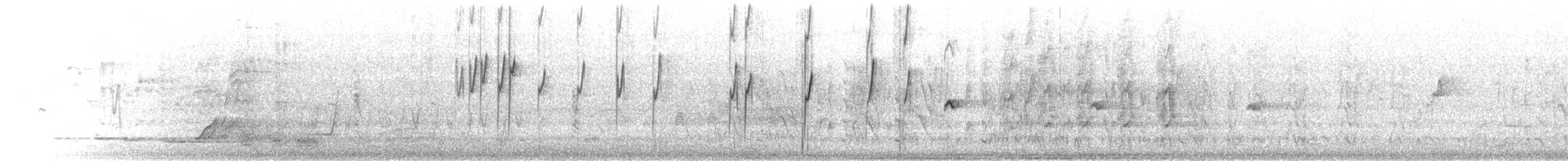 Gray Fantail (alisteri) - ML645679022