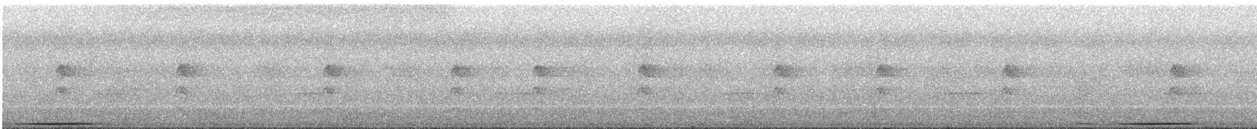 White-tipped Dove - ML645679397