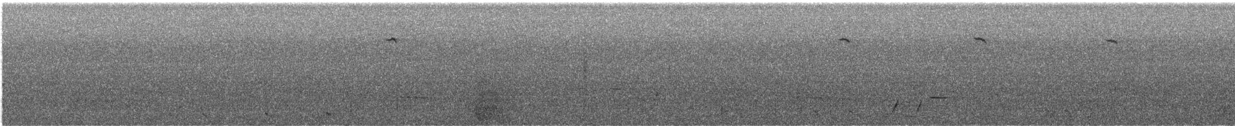 Southern Emuwren - ML645679618