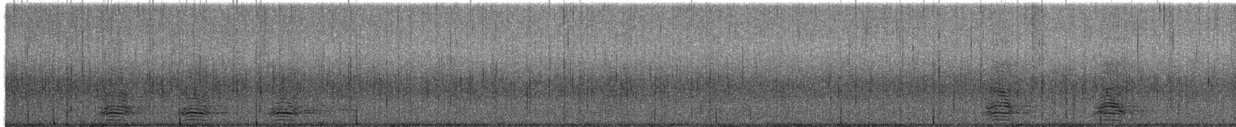 Torresian Crow - ML645679883