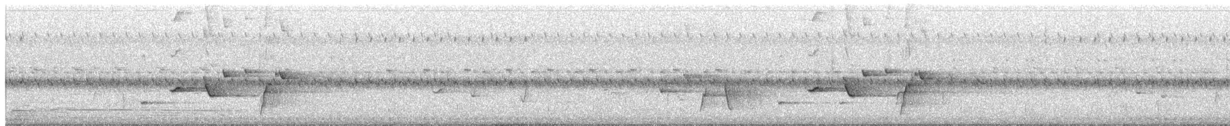 Willie-wagtail - ML645679890