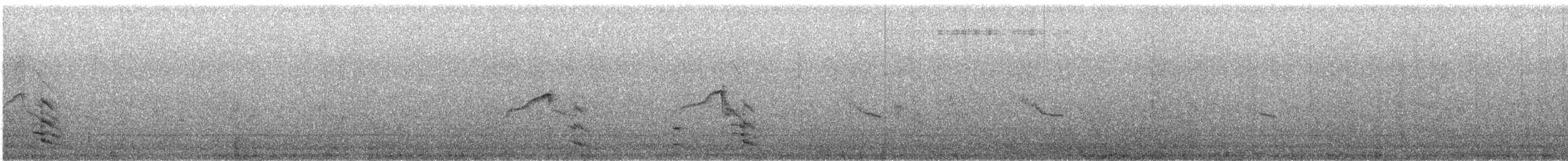 Aigle d'Australie - ML645679933