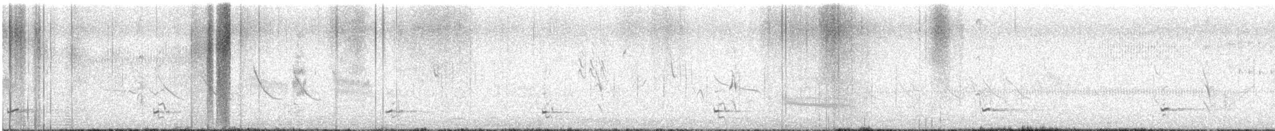 Moustached Turca - ML645680400