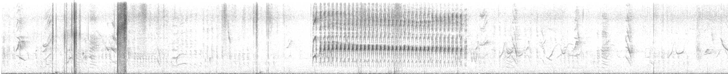 Striped Woodpecker - ML645680515