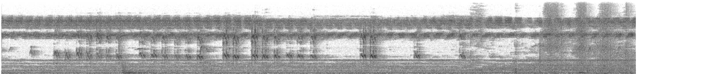 White-throated Kingfisher - ML645681700