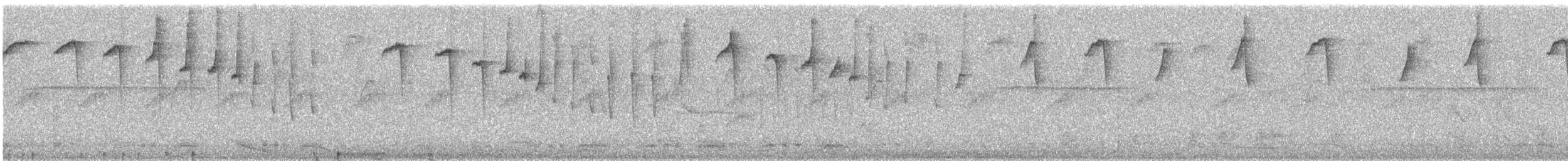 Gray-chinned Hermit - ML645682246