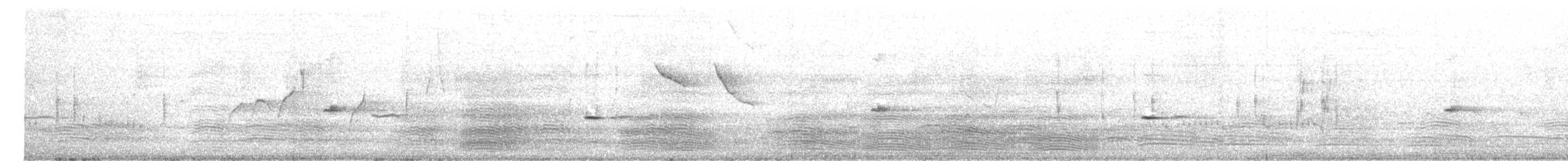 Benekli Panterkuşu - ML645683234