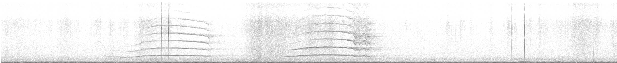 Sägekauz - ML645685464