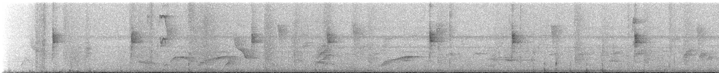 Northern Waterthrush - ML645685794