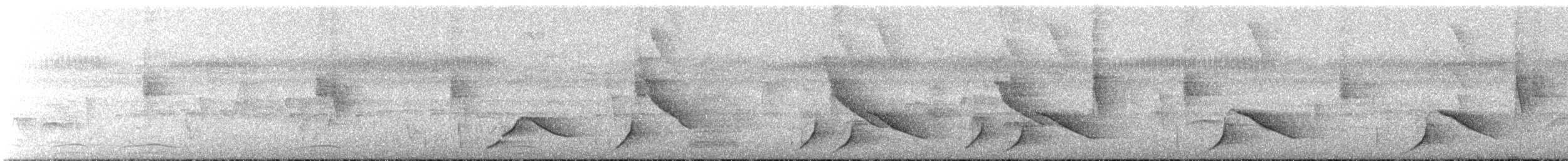 Melodious Blackbird - ML645685925