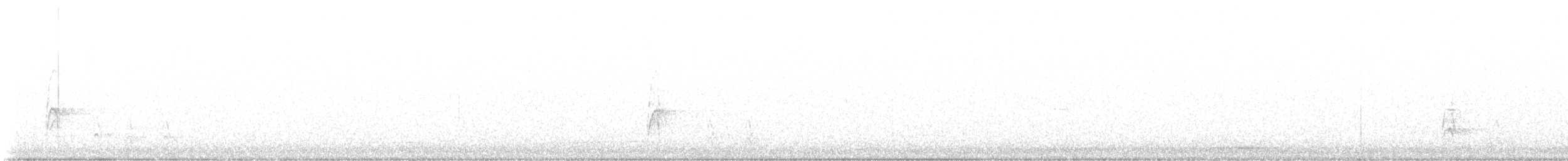 American Robin - ML645686061