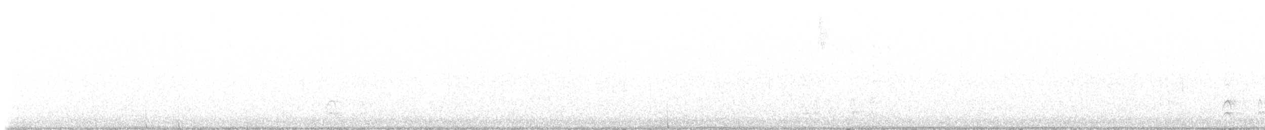 American Robin - ML645686063