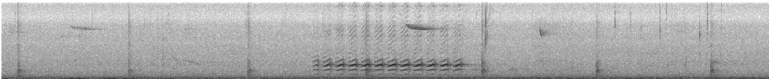 Amerikabaumläufer - ML645686201