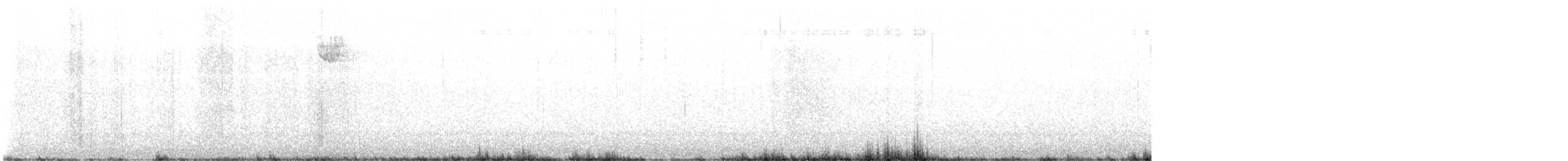 Chingolo Gorjiblanco - ML645686546