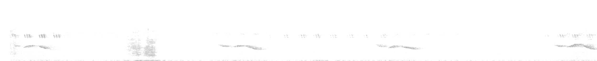 Streifenbrust-Erddrossling - ML645686592