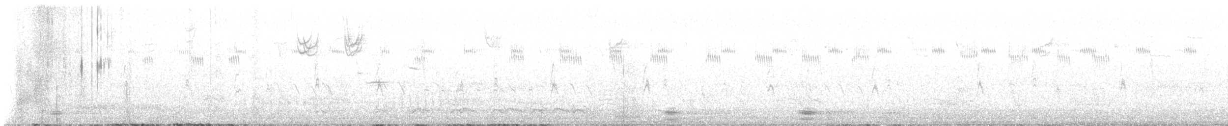 Kolkrabe - ML645686773