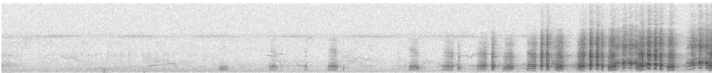 Tüpfelguan - ML645686957