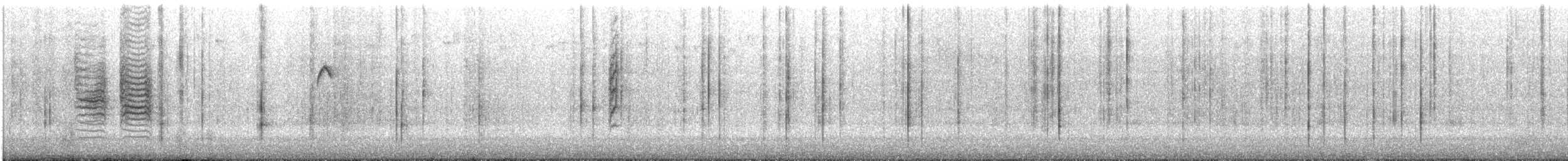 Weidenmeise - ML645686959