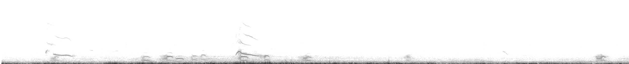 Bonaparte's Gull - ML645687059