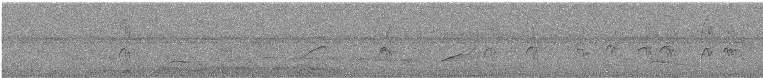 White-browed Purpletuft - ML645687080