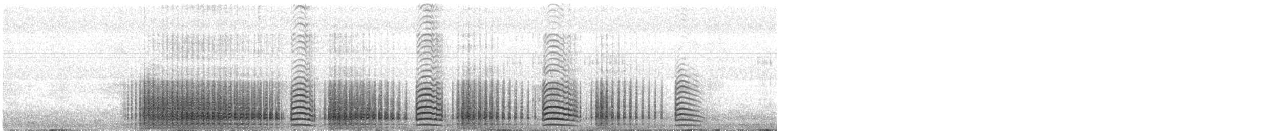 Ослиный пингвин - ML645687544