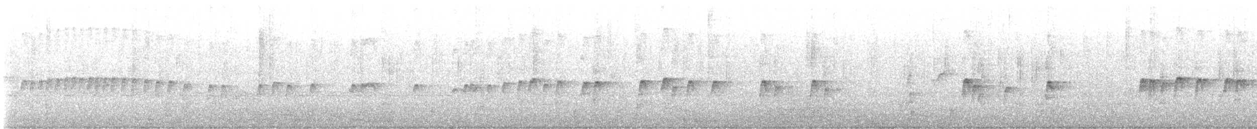 Black Phoebe - ML645688820