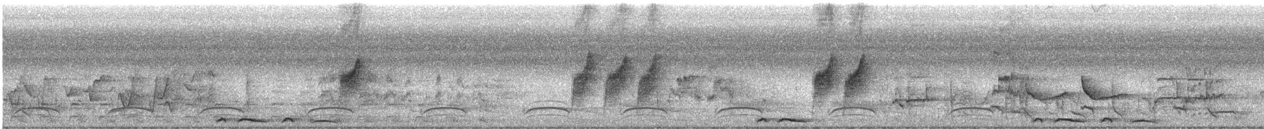 Paperbark Flycatcher - ML645688849