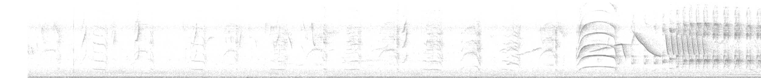 Rufous Hornero - ML645688933