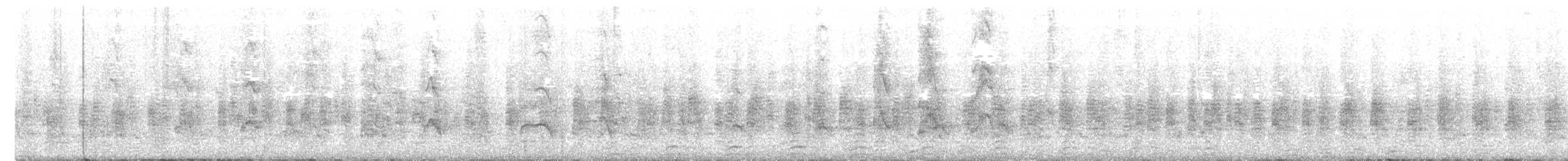 Little Pied Cormorant - ML645689028