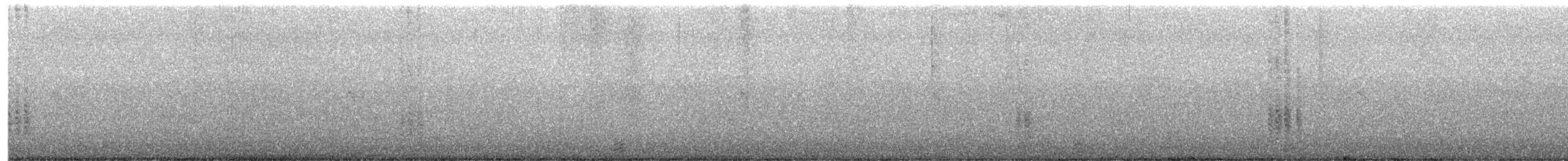 Austral Blackbird - ML645689029