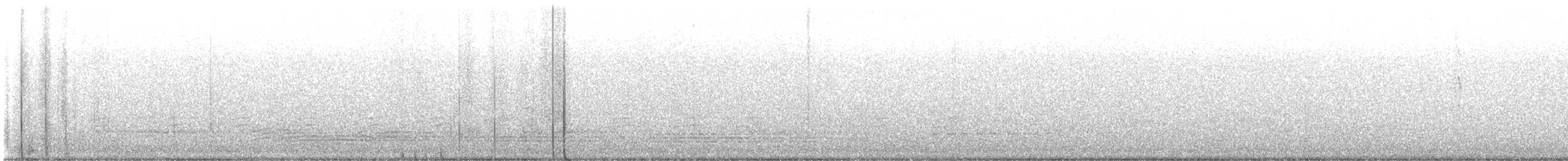 Steller's Jay - ML645689377