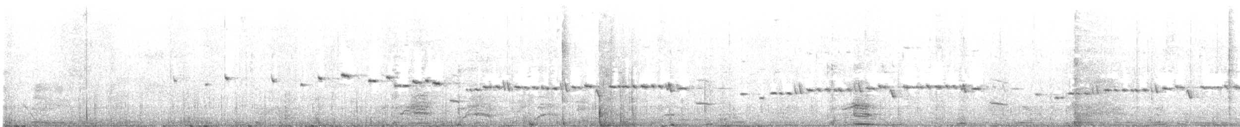 Gray Gerygone - ML645689516