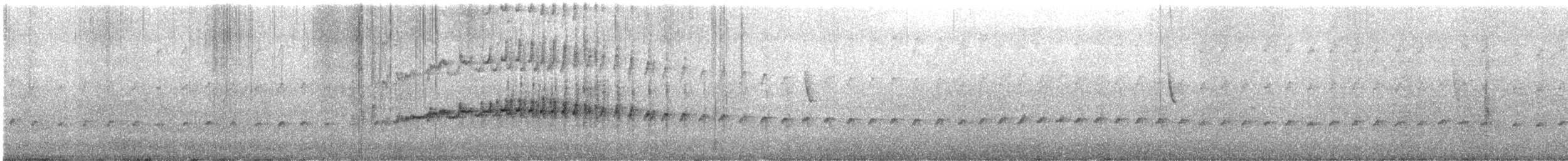 Seaside Cinclodes - ML645689547