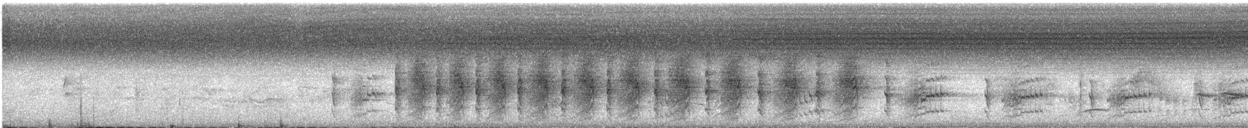 Collared Kingfisher - ML645690545