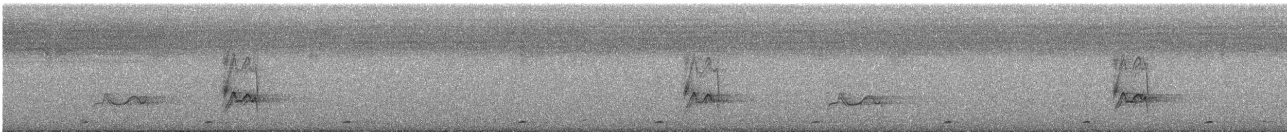 Oriental Cuckooshrike (Javan) - ML645690571