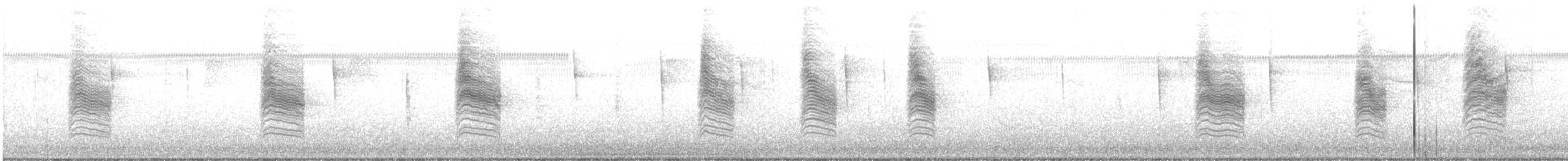 Chochín Criollo Norteño - ML645690744