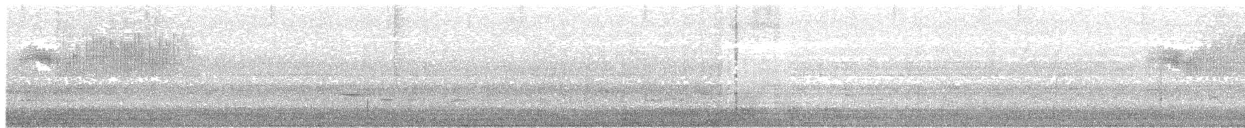 Желтокрылая x Голубокрылая червеедка (гибрид) - ML645691028