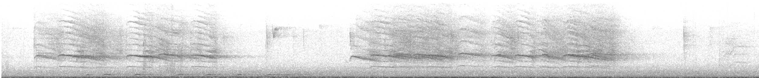 Barred Owl - ML645691444