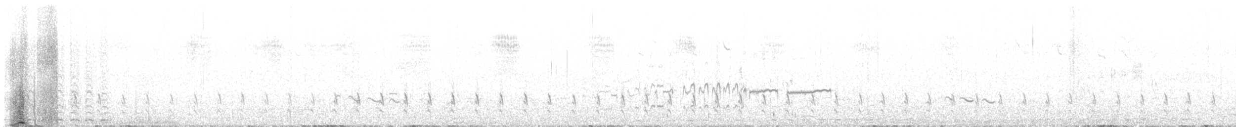 Least Sandpiper - ML645691513