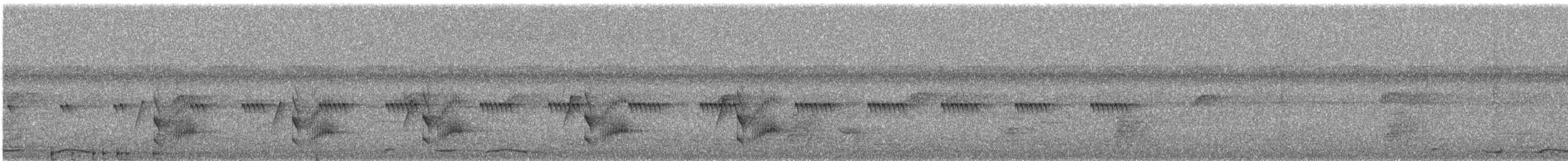 Blue-capped Manakin - ML645692130