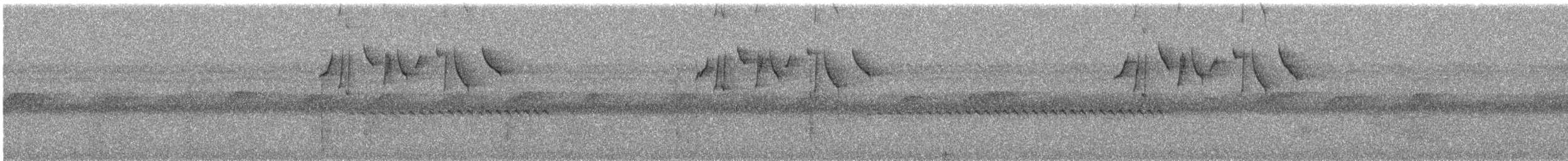 Pale-tailed Barbthroat - ML645692493